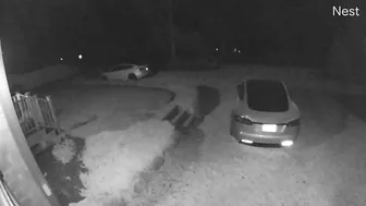 Scream And Run Like A Girl