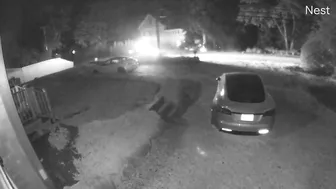 Scream And Run Like A Girl