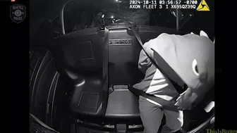 Seattle Police Arrest Man In Dinosaur Costume For Burglary