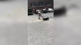 Segway Summary