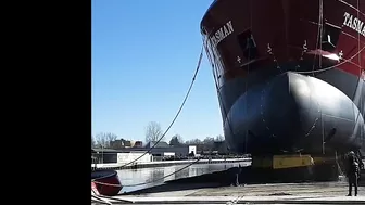 Dutch Dock Worker Nearly Crushed To Death After Ship Launch Failed