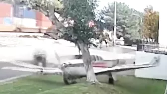 Small Plane Hits Tree