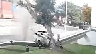 Small Plane Hits Tree