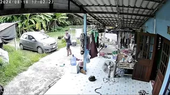 Snake Attacks Dog After He Tries To Warn Sleeping Man