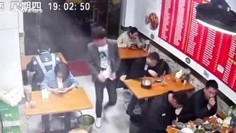 Stray Cat Falls From Ceiling, Scares Restaurant Patrons