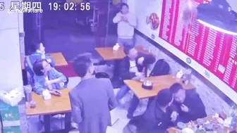 Stray Cat Falls From Ceiling, Scares Restaurant Patrons