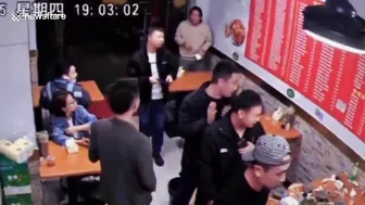 Stray Cat Falls From Ceiling, Scares Restaurant Patrons