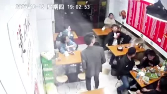 Stray Cat Falls From Ceiling, Scares Restaurant Patrons