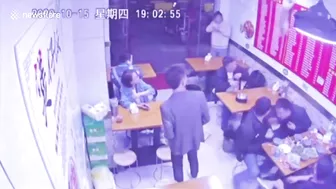 Stray Cat Falls From Ceiling, Scares Restaurant Patrons