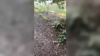 Teenage Idiots Setting Off Fireworks In Car