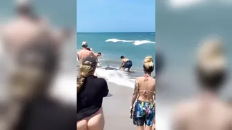 This Guy Caught A Shark