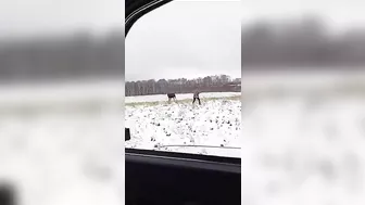 The Hunter Becomes The Hunted