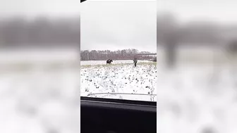 The Hunter Becomes The Hunted