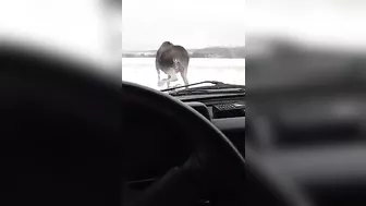 The Hunter Becomes The Hunted