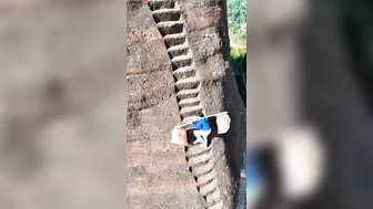 The Next Time You Complain About Your Grocery Delivery