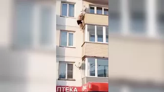 Satellite Repairman
