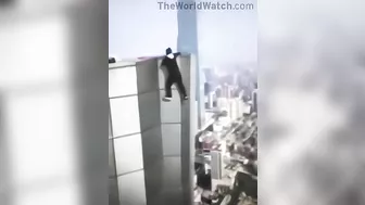 The Fear You Feel When You Realize You Can No Longer Get On The Roof