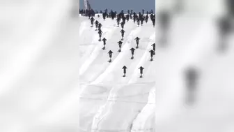 Big Iceberg Downhill Race