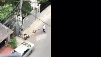 Worst Police Officer