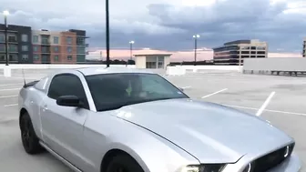 They Just Keep Coming Back