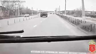 They Drop Like Flies