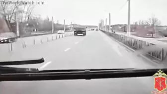 They Drop Like Flies