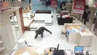 The Thief Received Immediate Justice