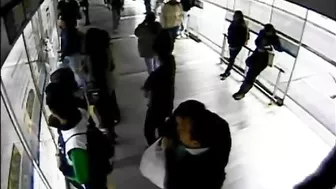 Thief Arrested After Robbing Woman