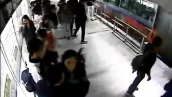 Thief Arrested After Robbing Woman