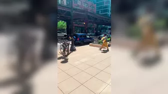 The Thief Was Interrogated While On The Run