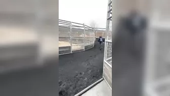 The Huge Device Itself Is Used To Train Horses