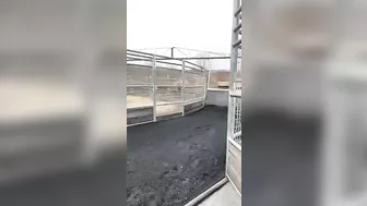 The Huge Device Itself Is Used To Train Horses