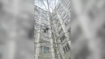 In Any Other Country This Would Have Been A Suicide Attempt