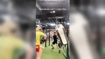 This Guy Has No Drama