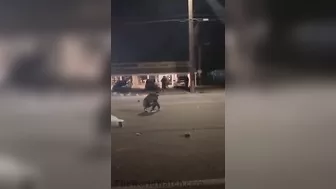 That's Why We Don't Set Off Fireworks In The Streets