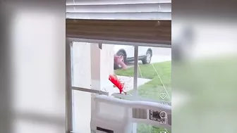 This Is Why You Should Never Bang On Windows Out Of Anger