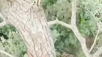 They're Not Even Bees