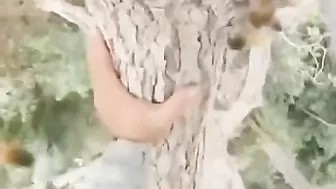They're Not Even Bees