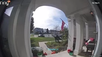 Thugs Brutally Beat FedEx Deliveryman