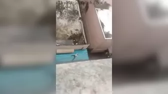 Tik Tok Challenges Are A Bad Idea