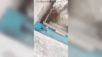 Tik Tok Challenges Are A Bad Idea