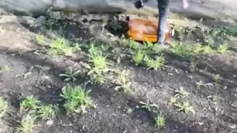 Hanging Out With A Beer Keg