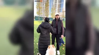 Complete Loser Attacks Woman With Dog In London Park