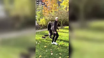 Complete Loser Attacks Woman With Dog In London Park