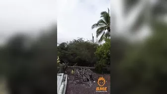 After This Landing, The Tree Surgeon Needs A Real Surgeon