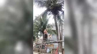 There Was Trouble In Paradise. Everyone Saw It Coming Except Her.