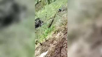 The Truck Driver Lost His Truck. Literally, Three People Got Lucky.