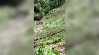 The Truck Driver Lost His Truck. Literally, Three People Got Lucky.