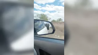 A Truck Drove Off The Highway With A Car In It