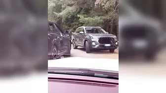 Try Hand Feeding A Bear
